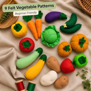 Op de afbeelding: Een verzameling van viltgroenten waaronder een gele paprika, twee oranje wortels, een paarse aubergine, twee groene komkommers, een rode tomaat, een groene kool, twee oranje pompoenen, een lichtgroene courgette, een gele pompoen en drie aardappelen.