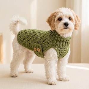 May include: A small dog with light-colored fur wearing a sage green crocheted sweater. The sweater features a textured, open-stitch pattern, a ribbed turtleneck collar, and a side tab detail secured with two small, round, light brown wooden buttons.