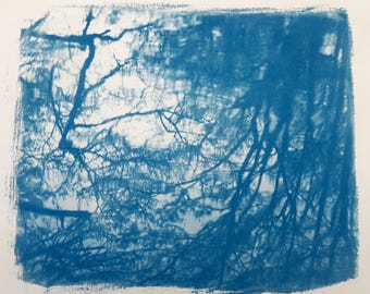 Puede incluir: Una impresión de cianotipia sobre papel que presenta una imagen monocromática en azul y blanco de ramas de árboles y follaje. La composición muestra un efecto pictórico de alto contraste con bordes de pinceladas visibles alrededor.