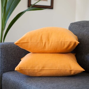 set of 2 throw pillows