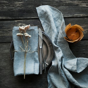 Blue Ticking linen napkins, softened linen napkins, cloth napkins, reusable linen napkins, 18x18 inch size napkins, NATURAL/BLUE image 5