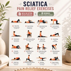 Sciatica Pain Relief Exercises Printable | Lower Back Stretch Routine | Physical Therapy Guide