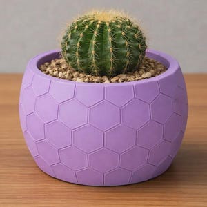 Hexagon Succulent Pot and Flower Vase - 3D Printed Honeycomb Planter for Small Plants | Minimalist Geometric Home Decor Gift