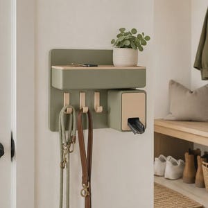 May include: A wall-mounted olive green organizer featuring a top shelf, three hooks for hanging leashes, and a side compartment for waste bags. The shelf holds a small potted plant and keys, while two leashes hang from the hooks below the shelf.