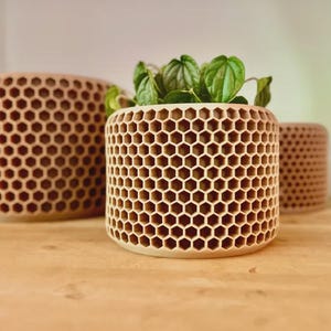 Honeycomb Planter with Drainage and Drip Tray - 3D Printed Hexagon Plant Pot for Succulents, Cactus and Indoor Plants | Modern Decor