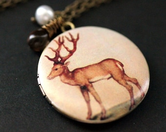 Deer Necklace. Deer Locket Necklace. Woodland Necklace. Bronze Necklace with Brown Glass Teardrop and Pearl. Bronze Locket. Handmade Jewelry