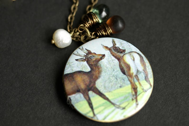 Photo Locket. Bronze Necklace Brown Deer Locket Necklace with Glass Teardrops and Fresh Water Pearl Forest Wildlife Necklace