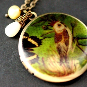 Owl Locket Necklace. King Owl Necklace with White Coral Teardrop and Fresh Water Pearl. Photo Locket Necklace. Handmade Jewelry.