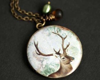 Forest Wildlife Locket Necklace. Deer Necklace with Frosted Brown Teardrop and Fresh Water Pearl. Deer Locket. Bronze Locket.