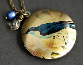 Bluejay Locket Necklace. Blue Bird Necklace with Taupe Teardrop and Cobalt Blue Fresh Water Pearl. Bluebird Necklace. Handmade Jewelry.
