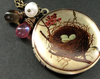 May include: A silver locket necklace with a brown bird's nest and two white eggs on a cream background. The locket has a floral design with pink flowers and green leaves.