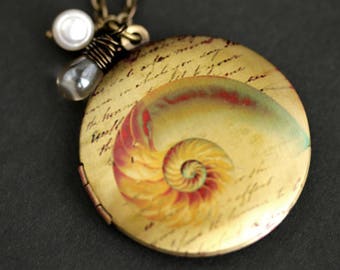 Snail Seashell Locket Necklace. Nautilus Shell Necklace with Glass Teardrop and Fresh Water Pearl. Seashell Necklace. Bronze Locket.