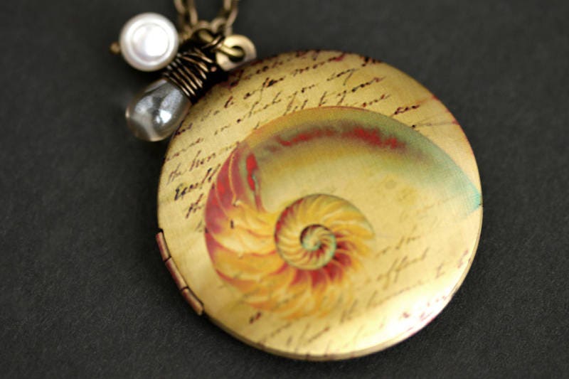 Moon Shell Necklace Stock Photo 1275441082 | Shutterstock