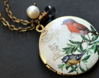 Robin and Blue Bird Necklace. Bird Locket Necklace. Bronze Necklace with Dark Blue Teardrop and Pearl. Bronze Locket. Handmade Jewelry.