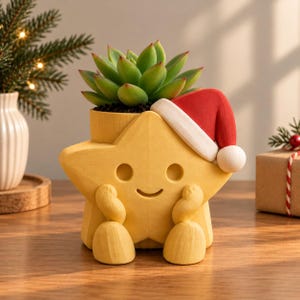 May include: A yellow star-shaped planter featuring a smiling face, two small arms resting on its chin, and a red and white Santa hat perched on one side. A green succulent plant is potted inside the top opening of the star-shaped container.