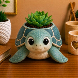 May include: A turtle-shaped planter featuring a teal and cream-colored shell with a textured scale pattern. The planter has large black eyes and a smiling expression, containing a green succulent plant nestled in dark brown soil.