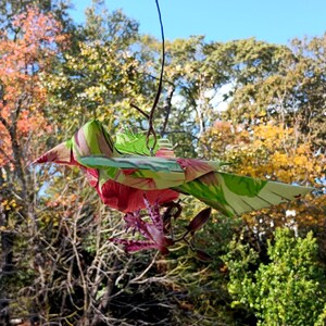 以下が含まれることがあります： 赤、緑、ピンクの花柄が特徴的な、カラフルな折り紙の鳥。鳥は、紅葉した木々と澄んだ青い空を背景に吊り下げられています。彫刻は折り紙で作られています。