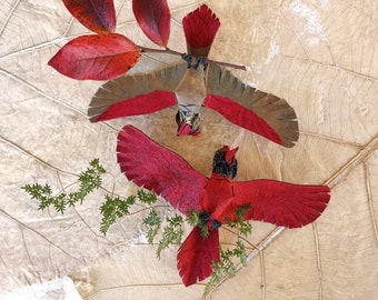 Male and Female Cardinal Couple