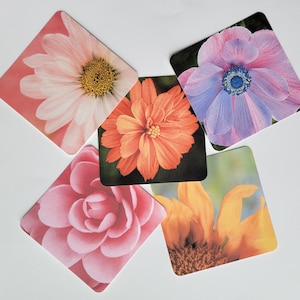 May include: Five different flower coasters with a variety of colors and designs. The coasters feature a pink daisy, a pink and white flower, a purple flower, an orange flower, and a yellow sunflower.