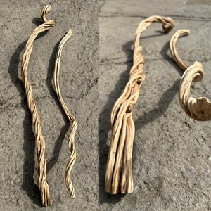 Può includere: Due pezzi di rami di legno naturale, ritorti e nodosi, di colore marrone chiaro. Il legno presenta un distinto motivo a venature a spirale con solchi profondi e una consistenza secca e usurata. I rami sono allungati con forme curve.