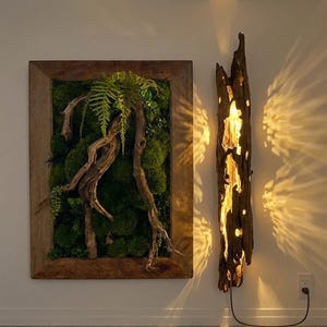 May include: A rectangular wooden frame containing green moss and a piece of driftwood with a fern, positioned next to a vertical wall-mounted driftwood light fixture that emits a warm, glowing light through its hollow, textured wooden core.