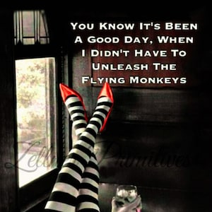 May include: A black and white striped leg with red shoes and a glass of liquid in a clear glass. The text reads "You know it's been a good day, when I didn't have to unleash the flying monkeys."