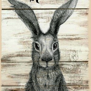 Può includere: Un'illustrazione in bianco e nero di Peter Rabbit, un coniglio dei cartoni animati con grandi orecchie, su uno sfondo a grana di legno. Il testo "Peter Rabbit" è scritto in un carattere decorativo sopra il coniglio.