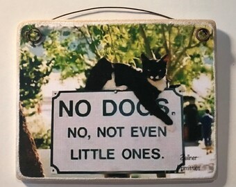 No Dogs Allowed Plaque: Humorous Cat Photo Art, 4x5"