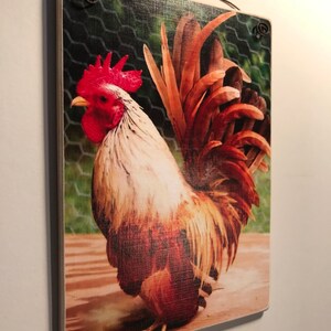 May include: A decorative wooden sign featuring a colorful rooster illustration. The rooster has red comb and wattle, white and brown feathers, and a detailed tail. The sign has a metal wire for hanging.