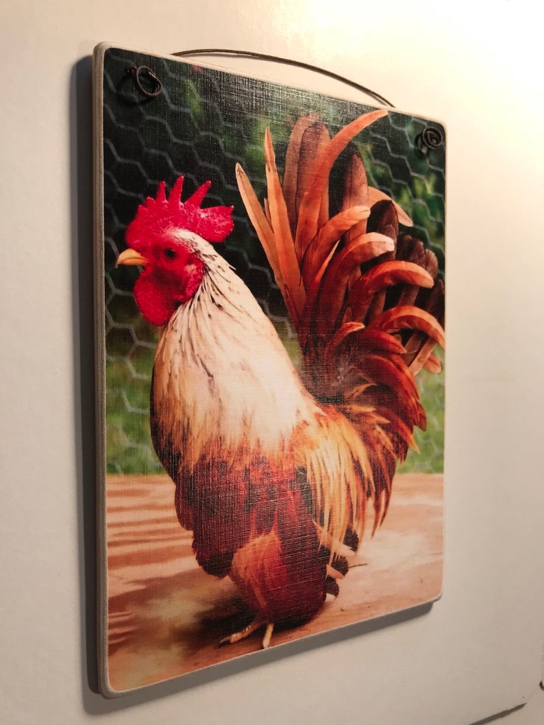 May include: A decorative wooden sign featuring a colorful rooster illustration. The rooster has red comb and wattle, white and brown feathers, and a detailed tail. The sign has a metal wire for hanging.