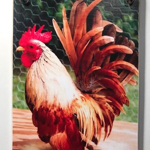 May include: A rectangular wooden sign featuring a colorful rooster illustration. The rooster has red, white, and brown feathers, a red comb, and a yellow beak. A brown wire is attached for hanging. The background shows a wire fence and greenery.