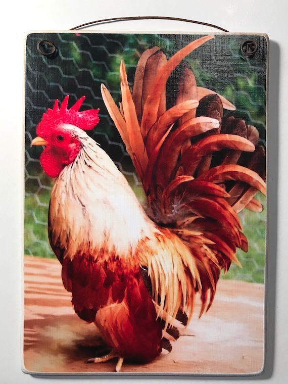 Handmade Rooster Picture Plaque: Country Farmhouse Decor (5x7 Print)