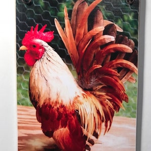 May include: A rectangular wooden sign featuring a colorful rooster illustration. The rooster has red comb and wattle, white and brown feathers, and is set against a background of chicken wire and wood. A brown leather cord is attached for hanging.