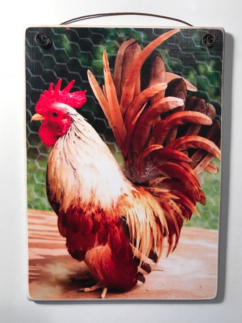May include: A rectangular wooden sign featuring a colorful rooster illustration. The rooster has red comb and wattle, white and brown feathers, and is set against a background of chicken wire and wood. A brown leather cord is attached for hanging.