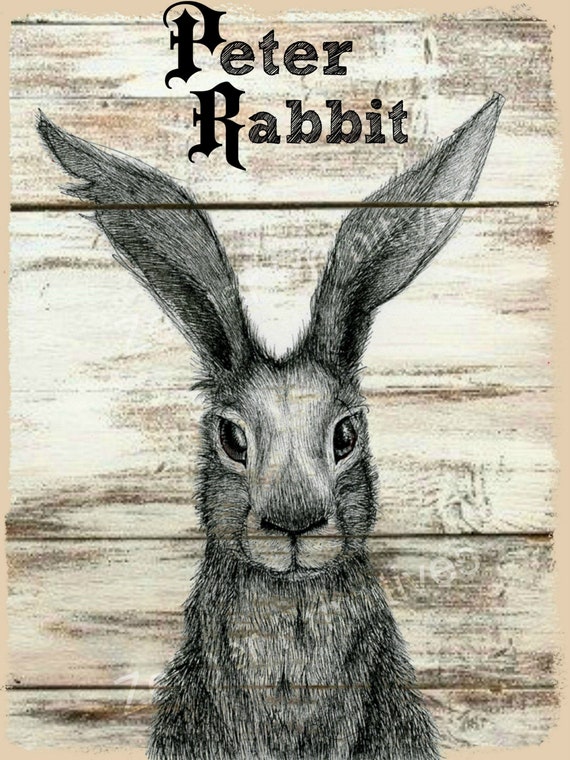 Peter Rabbit / Print Adhered to Wood and Ready to Display With | Etsy