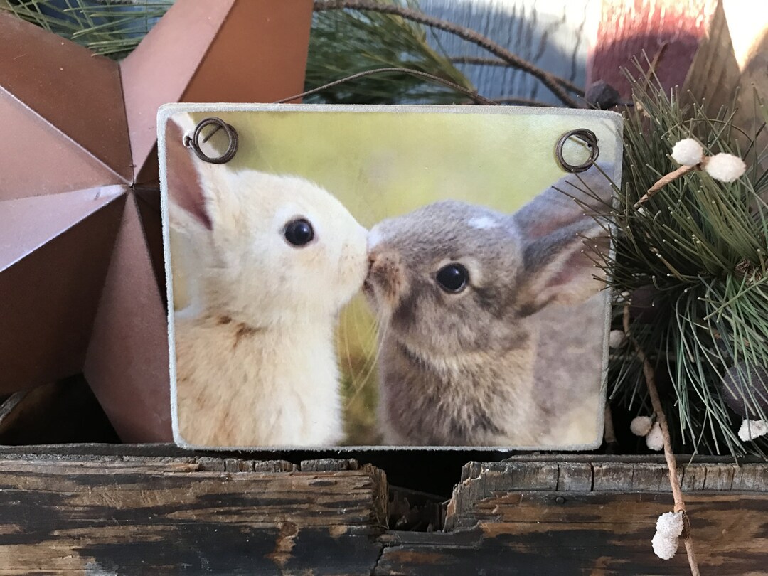Bunny Kisses / Picture Plaque With Wood Backing or Print Without Wood ...