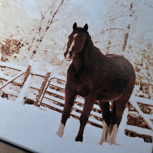 Snow Beauty / Picture Plaque / 8x10 / Still Life Photograph Adhered To Wood Or Print To Frame Yourself / Made In America image 5