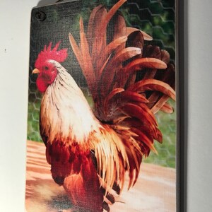 May include: Wooden wall art featuring a vibrant rooster illustration. The rooster has red comb and wattle, white and brown feathers, and a large, detailed tail. A metal handle is attached at the top for hanging. The artwork is a rustic, country-themed piece.
