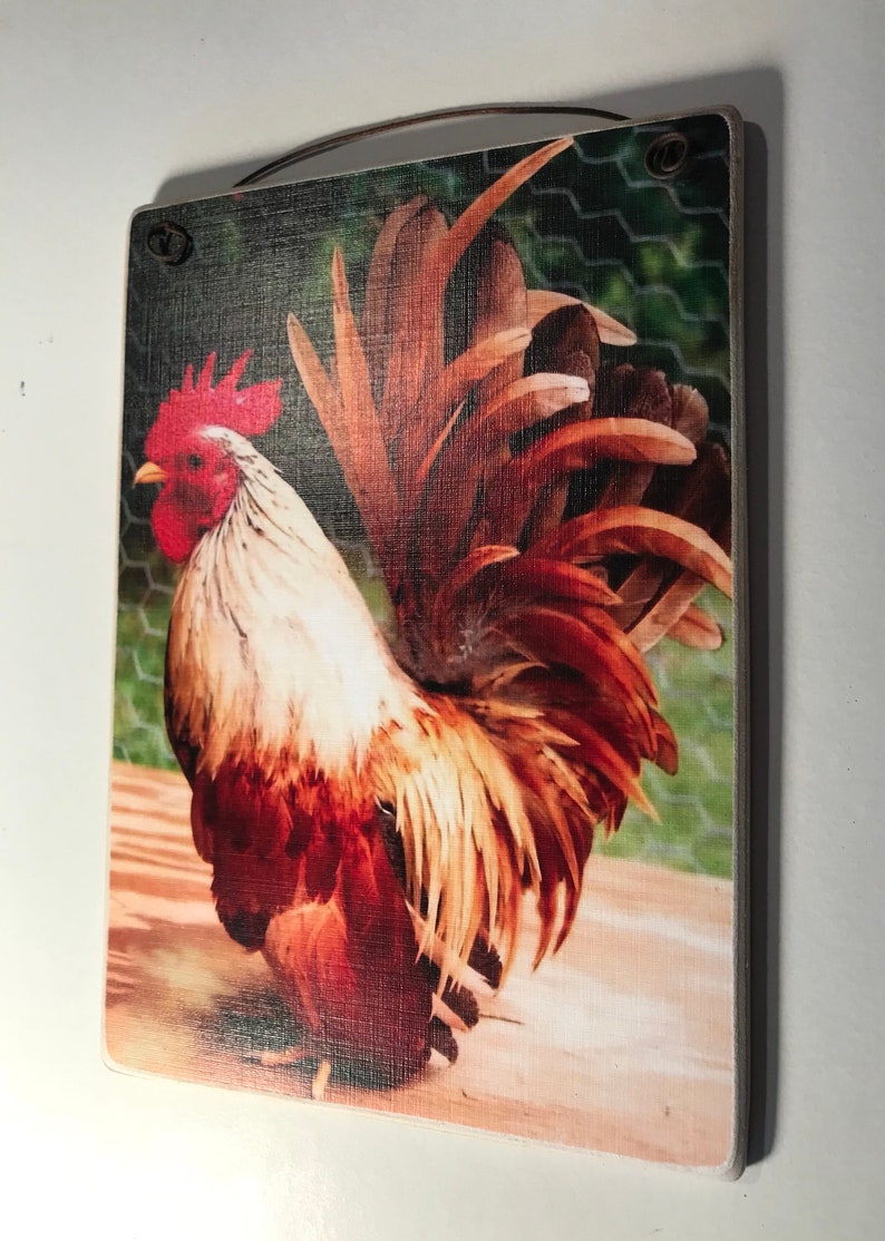 May include: Wooden wall art featuring a vibrant rooster illustration. The rooster has red comb and wattle, white and brown feathers, and a large, detailed tail. A metal handle is attached at the top for hanging. The artwork is a rustic, country-themed piece.
