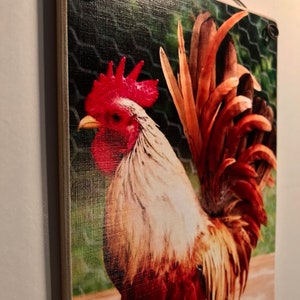 May include: Wooden wall art featuring a vibrant rooster. The artwork showcases a detailed image of a rooster with red comb and wattle, white and brown feathers, and a large, brown tail. The background includes a green mesh and wooden planks.