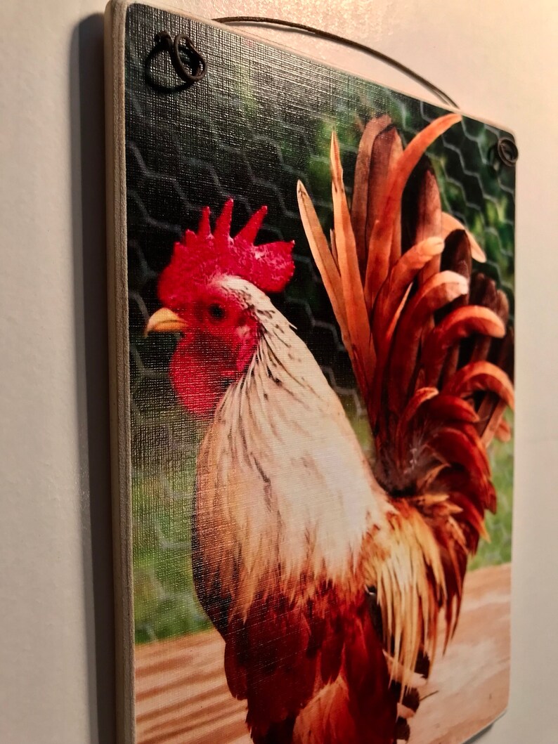 May include: Wooden wall art featuring a vibrant rooster. The artwork showcases a detailed image of a rooster with red comb and wattle, white and brown feathers, and a large, brown tail. The background includes a green mesh and wooden planks.