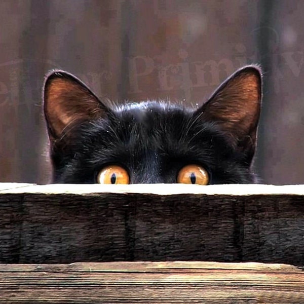 Peek-A-Boo Kitty / Impression collée sur du bois et prête à être exposée ou à imprimer pour encadrer vous-même / Cadeaux photo