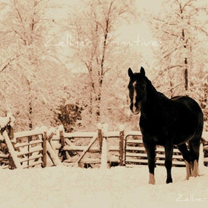 Snow Beauty / Picture Plaque / 8x10 / Still Life Photograph Adhered To Wood Or Print To Frame Yourself / Made In America image 2