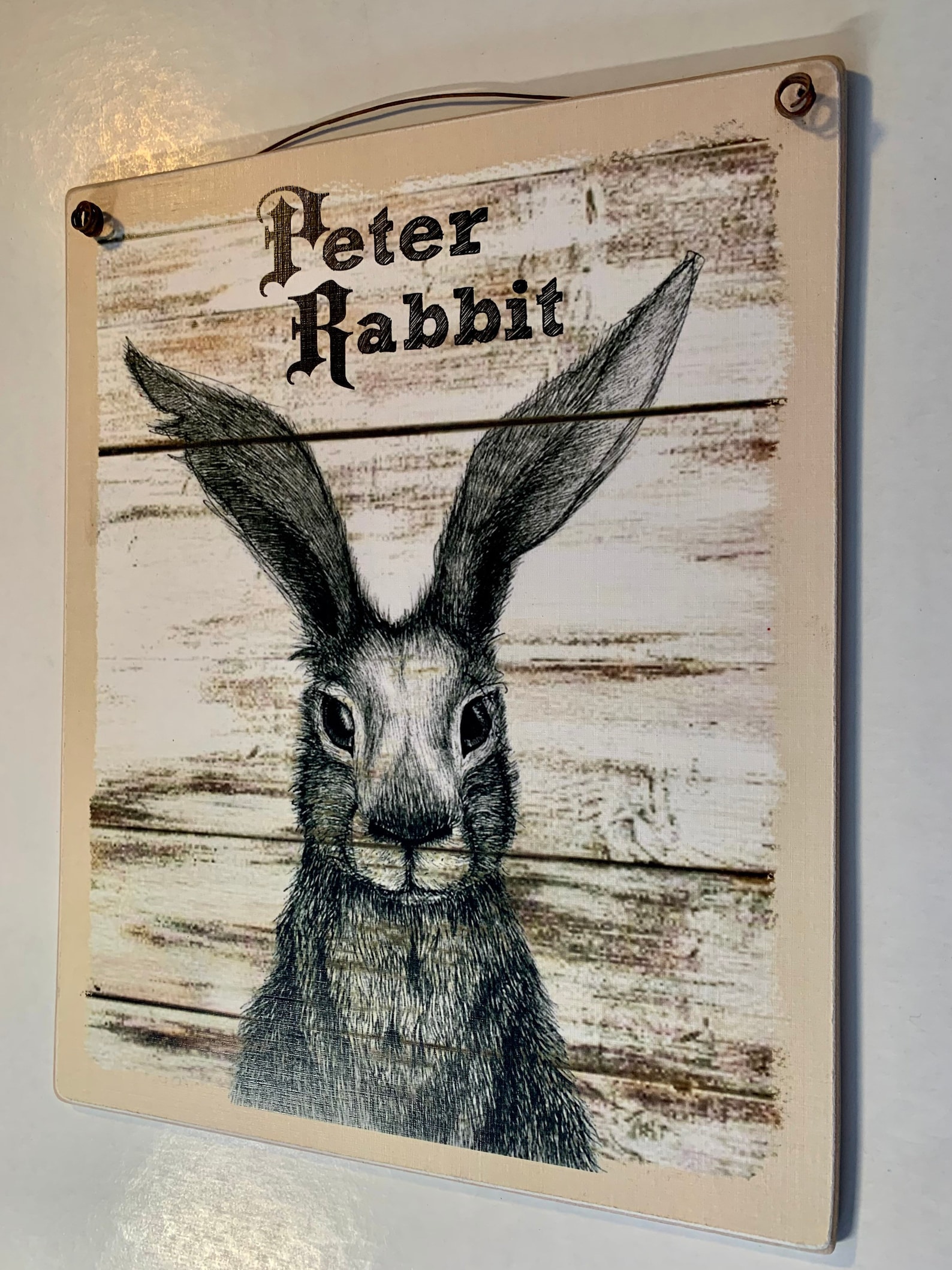 Peter Rabbit / Print Adhered to Wood and Ready to Display With | Etsy