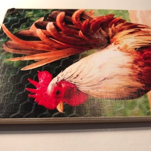 May include: A wooden cutting board featuring a detailed image of a rooster. The rooster has vibrant red, brown, and white feathers, with a red comb and wattle. The background includes a wire fence and a wooden surface.
