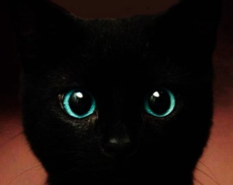 黒猫のアートプリント：青い目、ヴィンテージワイヤーハンガー付き