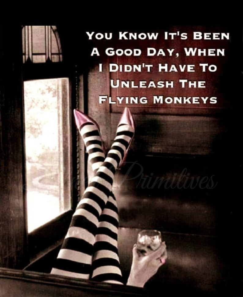 May include: Black and white striped stockings with pink heels and a quote that reads "You know it's been a good day, when I didn't have to unleash the flying monkeys."