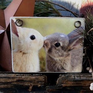Bunny Kisses  /  Picture Plaque With Wood Backing Or Print Without Wood / Makes a great little Easter gift / Measures 4x5