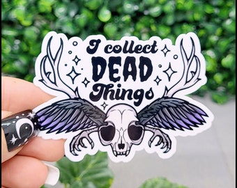 I Collect Dead Things Sticker – Kuriositäten, Kuriositäten, Geierkultur, tote Tiere, wasserfester Aufkleber, Laptop-Aufkleber, Wasserflasche