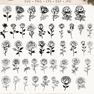 May include: A digital Rose SVG Bundle featuring 50 distinct black and white rose illustrations in various styles. The graphic includes text labels such as Rose SVG Bundle, 50 Rose Designs, and file formats like SVG, PNG, EPS, DXF, and JPG.